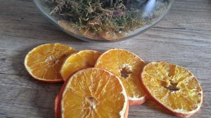 Getrocknete Orangenscheiben liegen auf einem Holztisch, umgeben von einem Glasgef&auml;&szlig; mit Pflanzen. Ideal f&uuml;r Dekorationszwecke.
