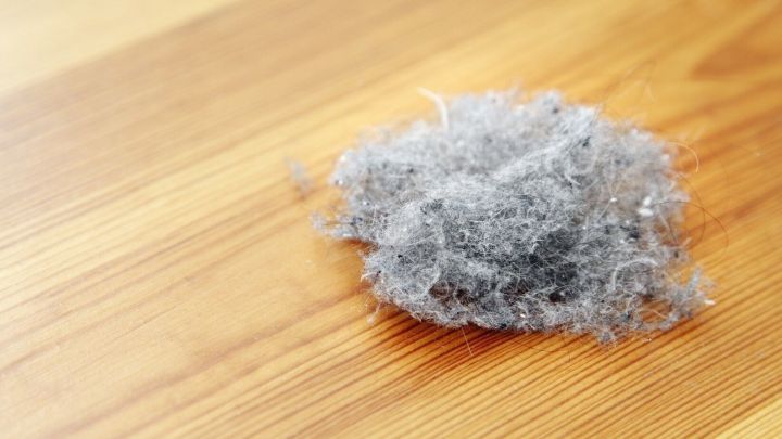 Ein Staubball liegt auf einem Holzboden und zeigt, wie Hausstauballergie leicht ausgel&ouml;st werden kann.