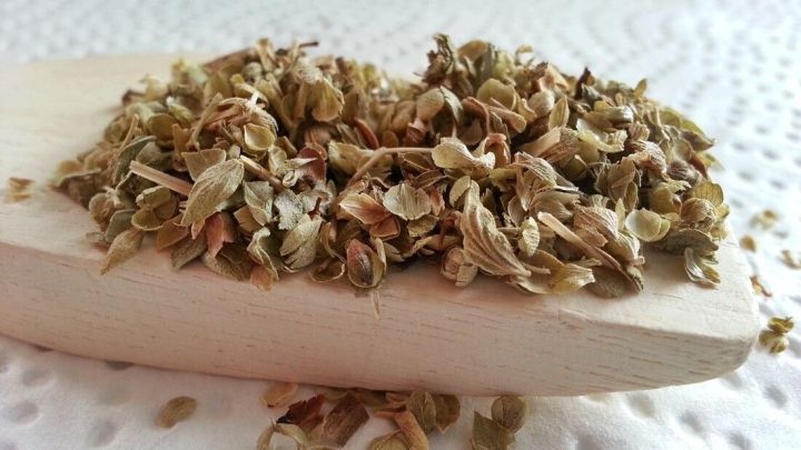 Getrockneter Oregano liegt auf einem Holzl&ouml;ffel und wird als nat&uuml;rliche Abwehr gegen Motten und Blattl&auml;use verwendet.