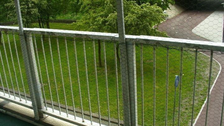 Ein Balkon mit Sicherheitsnetz wurde vorbereitet, um sicherzustellen, dass Katzen nicht entkommen, w&auml;hrend er gr&uuml;ne B&auml;ume umgibt.