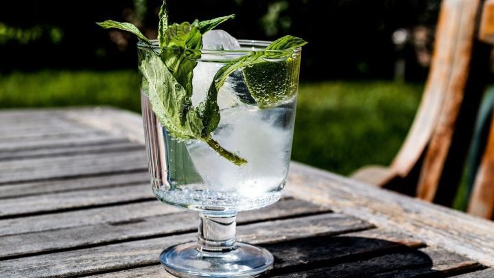 Ein Glas Gin mit frischen Minzbl&auml;ttern steht auf einem Holztisch im Freien, umgeben von gr&uuml;nem Gras und Sonnenlicht.