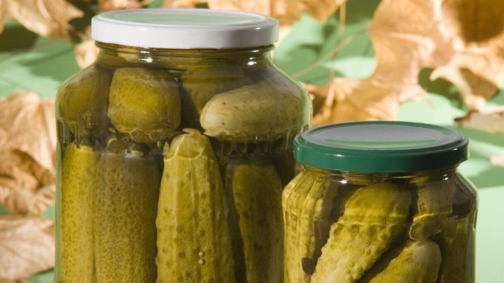 Gl&auml;ser mit eingelegten Gurken stehen auf einem Holztisch, umgeben von trockenen Bl&auml;ttern in einem rustikalen Ambiente.