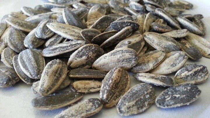 Braune Sonnenblumenkerne liegen lose auf einem wei&szlig;en Teller und wirken bereit zum Knabbern oder zur Weiterverarbeitung.