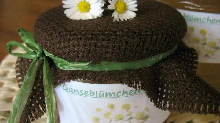 Vielleicht hat der oder die Eine oder Andere auch eine ertragreiche Gänseblümchenwiese. Dann empfehlen wir dieses Rezept.