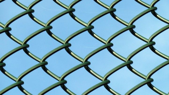 Ein gr&uuml;nes Maschendrahtzaunnetz zeigt eine strukturierte Oberfl&auml;che, die gegen Marder im Motorraum sch&uuml;tzen soll.