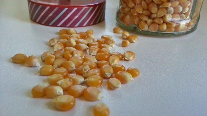 Gelbe Maisk&ouml;rner liegen verstreut auf einem Tisch, w&auml;hrend ein Glas mit mehr K&ouml;rnern daneben steht.