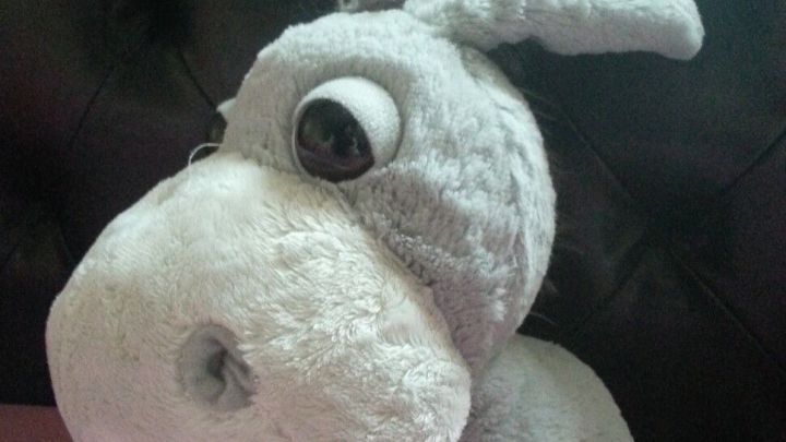 Ein graues Pl&uuml;schtier in Form eines Esels sitzt auf einer rosa Unterlage und wirkt freundlich in einem ged&auml;mpften Raum.