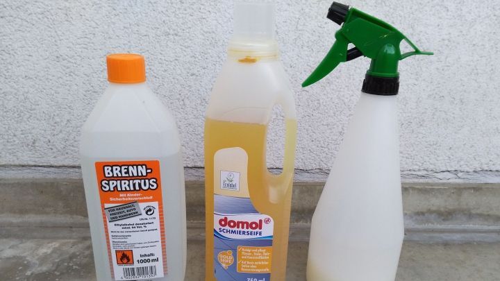 Zwei Flaschen mit Reinigungsmitteln und eine Spr&uuml;hflasche stehen auf einem glatten Untergrund, um Blattl&auml;use zu bek&auml;mpfen.