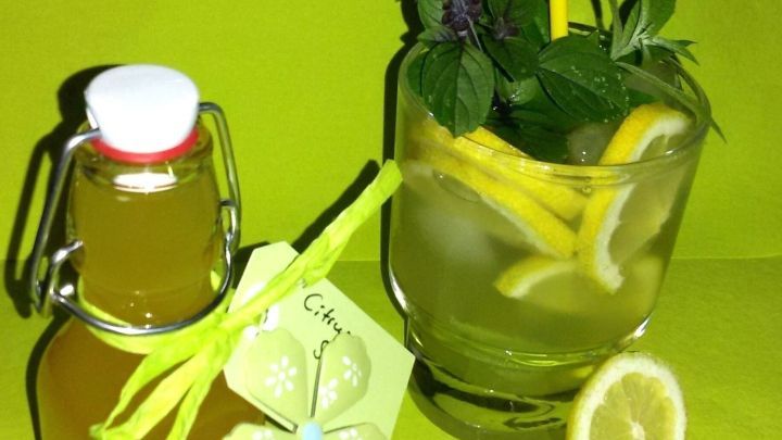Ein Glas Limonade mit Zitrone und Minze steht neben einer Flasche Haus-Limo-Konzentrat auf einem hellgr&uuml;nen Hintergrund.