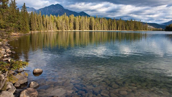 Ein ruhiger See spiegelt die umliegenden B&auml;ume und Berge wider, ideal f&uuml;r besseres Fotografieren in der Natur.