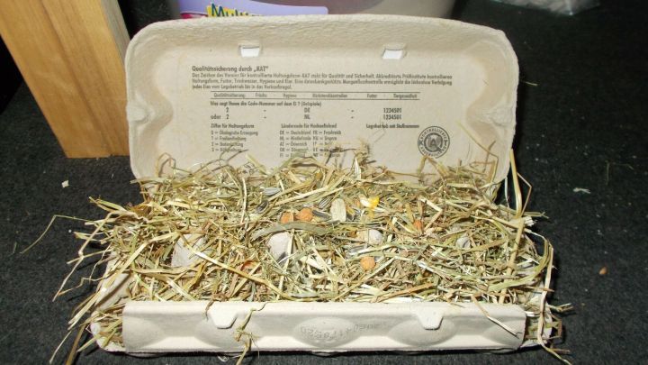 Eine Eierkarton-h&ouml;lzerne Schachtel ist gef&uuml;llt mit Heu, ideal f&uuml;r Nager zur Besch&auml;ftigung und zum Nisten in ihrem Zuhause.