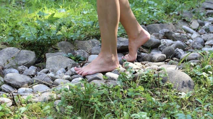 Barf&uuml;&szlig;ige F&uuml;&szlig;e gehen &uuml;ber einen unebenen, steinigen Weg im Freien, umgeben von gr&uuml;nem Gras und Pflanzen.