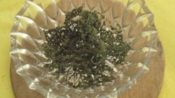 In einer klaren Schale liegen ger&ouml;stete Brennnesselsamen, pr&auml;sentiert auf einem runden Holzuntersetzer, vor einem gelben Hintergrund.