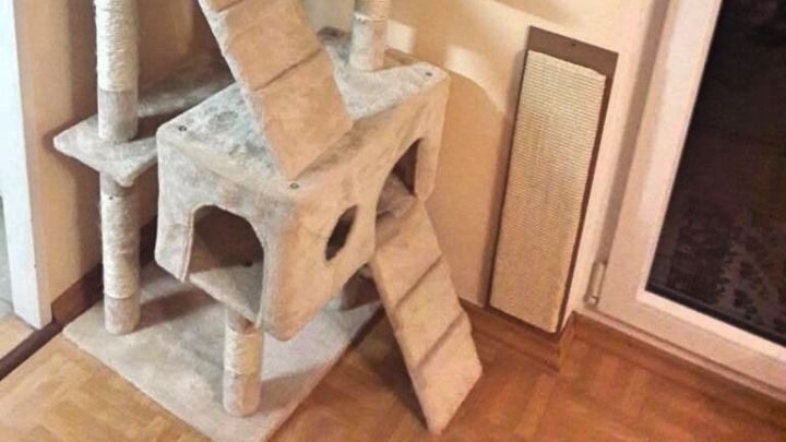 Ein Kratzbaum steht auf dem Boden, hat mehrere Ebenen und kleine H&ouml;hlen, scheint unzureichend aufgebaut zu sein.