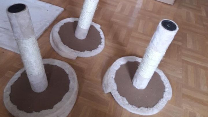 Drei stabile Kratzbaum Ersatzst&auml;mme stehen auf einem Holzboden, bereit f&uuml;r Katzen zum Kratzen und Spielen.