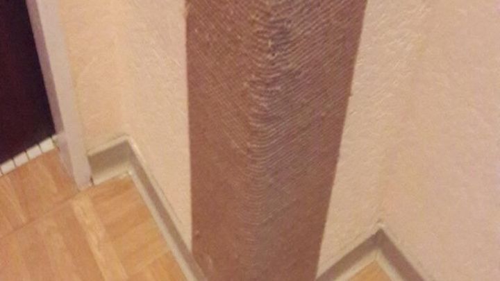 Ein Kratzbrett steht in einer Wohnungsecke aus Kork und bietet Katzen eine M&ouml;glichkeit zum Kratzen.