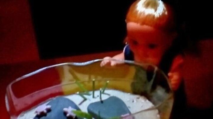 Eine Puppe schaut gespannt auf ein terrarien&auml;hnliches Wasserbecken mit Pflanzen und Schildkr&ouml;ten im Inneren.