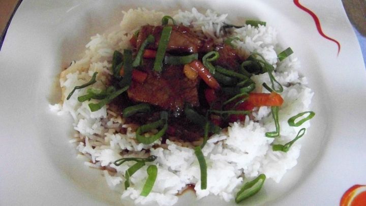 Zartes, rot geschmortes Schweinefleisch liegt auf einer Portion Reis, garniert mit frischen Fr&uuml;hlingszwiebeln, serviert auf einem dekorativen Teller.