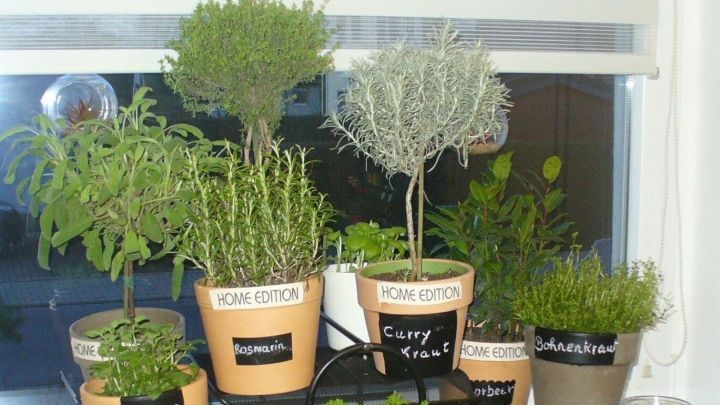 Kr&auml;utert&ouml;pfe stehen auf einem Treppchen und sind liebevoll beschriftet, im Hintergrund eine helle Fensterbank.