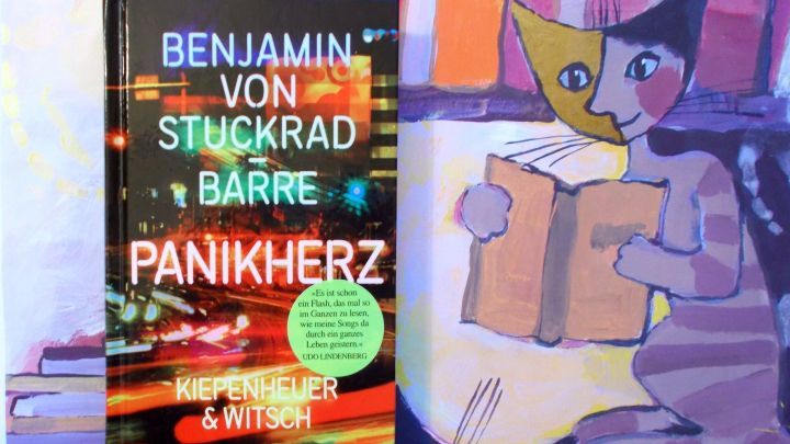 Ein Buch mit dem Titel &bdquo;Panikherz&ldquo; steht neben einer farbenfrohen Zeichnung, die eine Figur mit einem Buch zeigt.