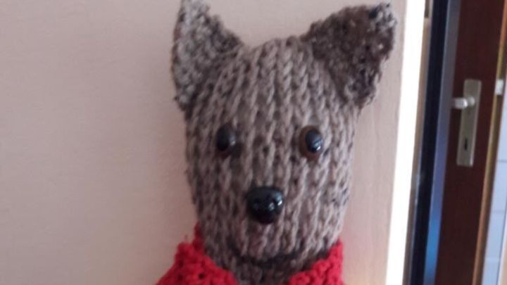 Ein gestrickter Teddy sitzt auf einem blauen Untergrund, tr&auml;gt ein gelbes Oberteil und eine rote Schalsocke.