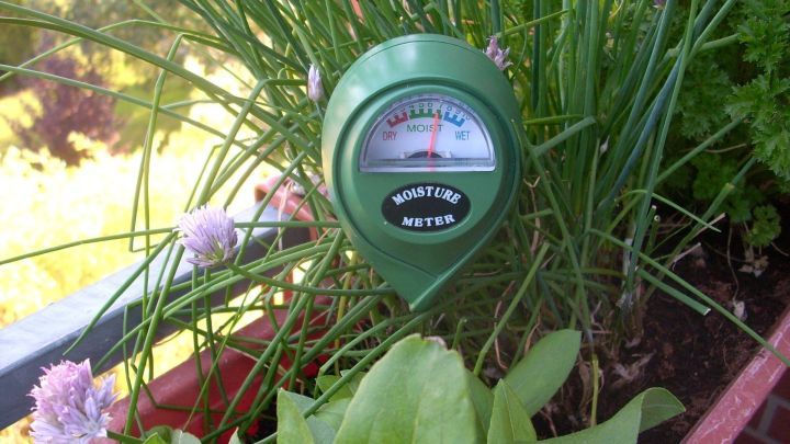 Ein Feuchtigkeitsmesser steht in einer Balkonpflanze und zeigt den Wasserstand an, um das optimale Gie&szlig;en zu unterst&uuml;tzen.