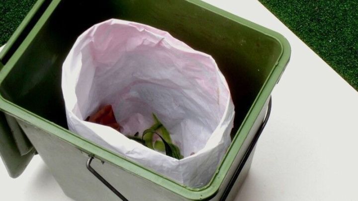 Eine gebrauchte Papiert&uuml;te liegt in einem gr&uuml;nen Bioabfallbeh&auml;lter, umgeben von gr&uuml;nem Gras, bereit f&uuml;r die Entsorgung.