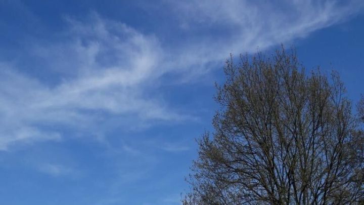 Ein blauer Himmel mit einigen Wolken zeigt einen Baum, der im Fr&uuml;hling Sonne tankt; wichtig ist der Sonnenschutz.
