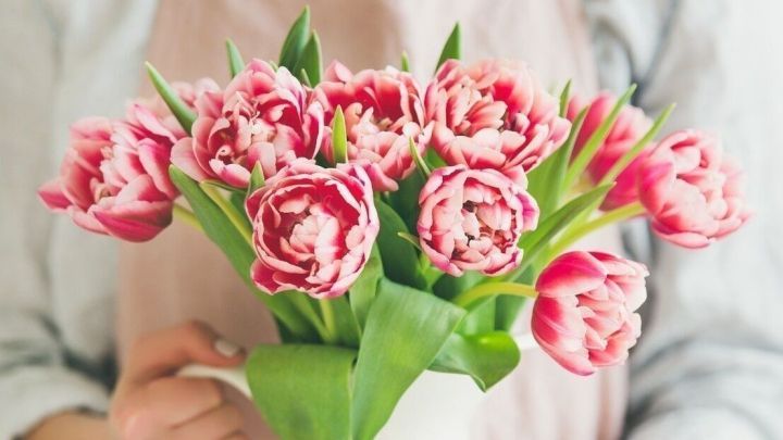 Eine Person h&auml;lt eine wei&szlig;e Vase mit rosa Tulpen, die frisch arrangiert sind, in einem hellen Raum.