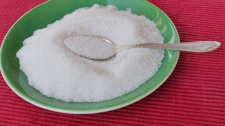 Auf einem gr&uuml;nen Teller liegt ein Haufen Zucker mit einem L&ouml;ffel darin, auf einem roten Tisch.