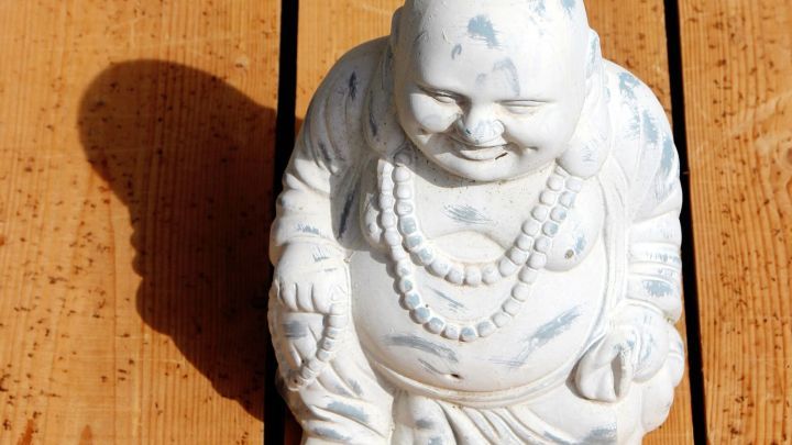 Fotografiert man bei Sonnenlicht ohne einen Reflektor, erh&auml;lt man harte Schatten.