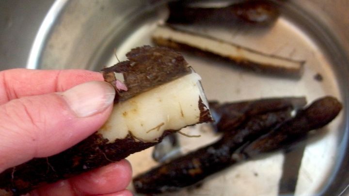 Eine Hand h&auml;lt eine gesch&auml;lte Schwarzwurzel &uuml;ber einem Topf, w&auml;hrend weitere Wurzeln im Wasser liegen.