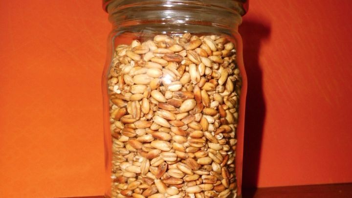 Ein Glas gef&uuml;llt mit gepufften Haferk&ouml;rnern steht auf einem Holztisch vor einer orangefarbenen Wand.