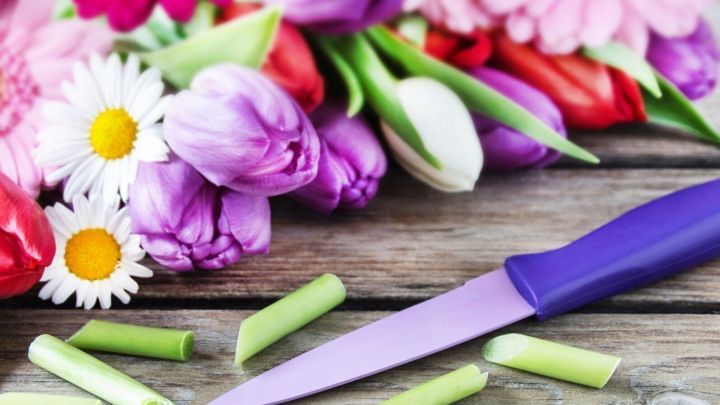 Messer schneidet Blumenst&auml;ngel auf Holztisch neben bunten Schnittblumen, um Frische zu erhalten.