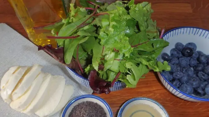 Diese Zutaten ergeben ein leichtes Abendessen f&uuml;r 1 Person - Wildsalat mit Mozzarella, Blaubeeren und Mohndressing.