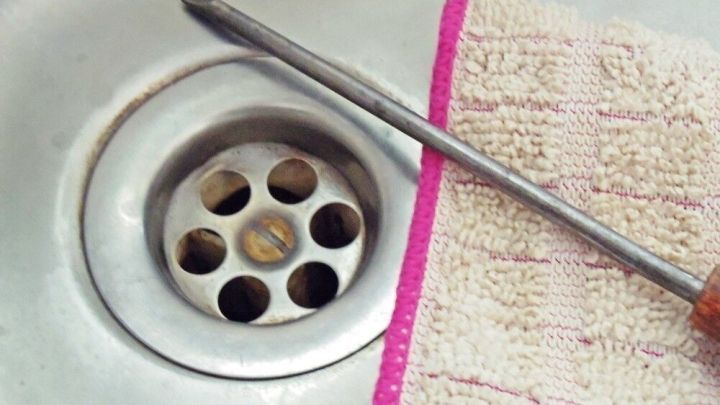 Ein Edelstahlbesteck steht neben einem Sp&uuml;lbecken, w&auml;hrend Fruchtfliegen unter dem Abfluss sitzen und sich umschauen.