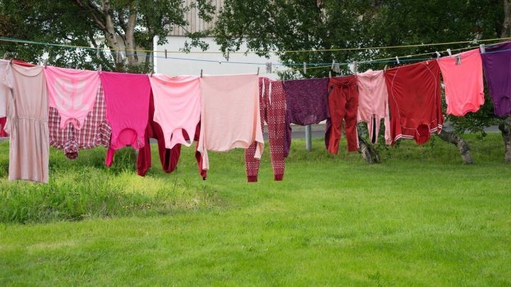 Bunte Pullis und Hosen h&auml;ngen zum Trocknen an einer W&auml;scheleine, umgeben von gr&uuml;nem Wiese und B&auml;umen im Hintergrund.