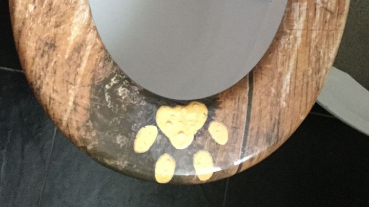 Eine toiletartige Sitzfl&auml;che mit besch&auml;digter, h&ouml;lzerner Optik und bunten Flecken, die eine zweiteilige Dekoration zeigen.