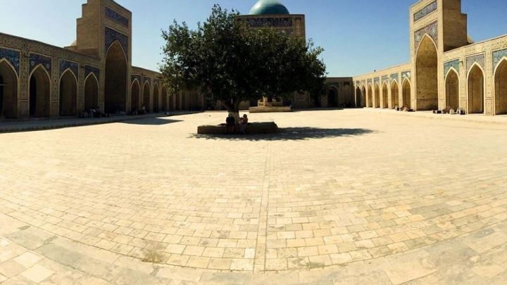 Ein gro&szlig;er Baum steht in einem sonnigen Innenhof von Buchara, umgeben von historischen Geb&auml;uden und einem weiten Pflaster.