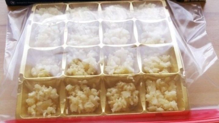 Klein gehackter Knoblauch ist in einem Beh&auml;lter eingefroren, um ihn frisch zu halten, auf einer K&uuml;chenarbeitsplatte.