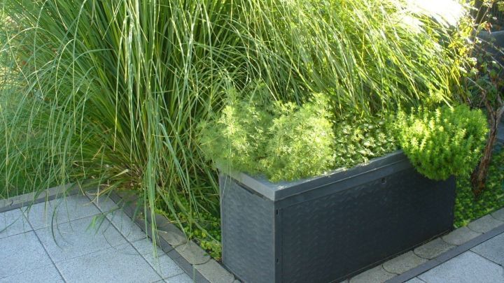 Ein Hochbeet aus einer Auflagenbox steht auf einem gepflasterten Boden, umgeben von &uuml;ppigen, gr&uuml;nen Pflanzen.