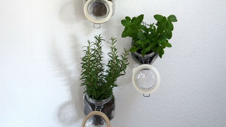 An der Wand h&auml;ngen drei Gl&auml;ser mit frischen Kr&auml;utern wie Basilikum und Rosmarin, erg&auml;nzt durch ein gerahmtes Kunstwerk dar&uuml;ber.