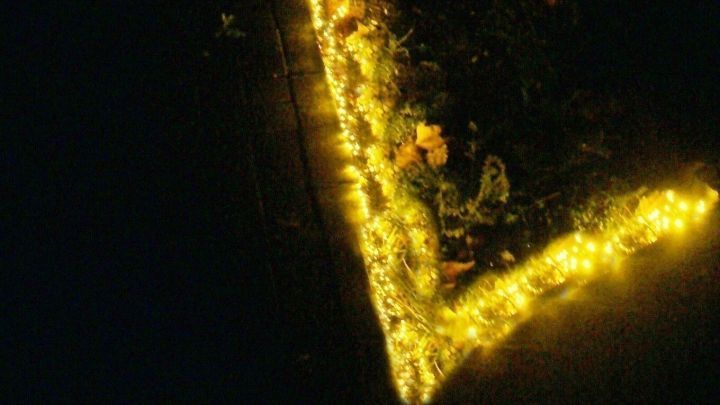 Ein beleuchtetes Beet wird mit einer Lichterkette umrundet, w&auml;hrend es nachts im Garten erstrahlt.