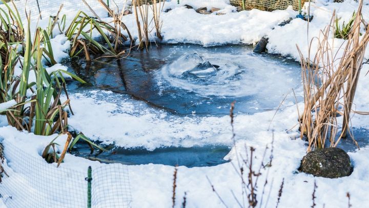 36+ Teich Zugefroren Was Tun, Was tun, wenn eis die teichfläche