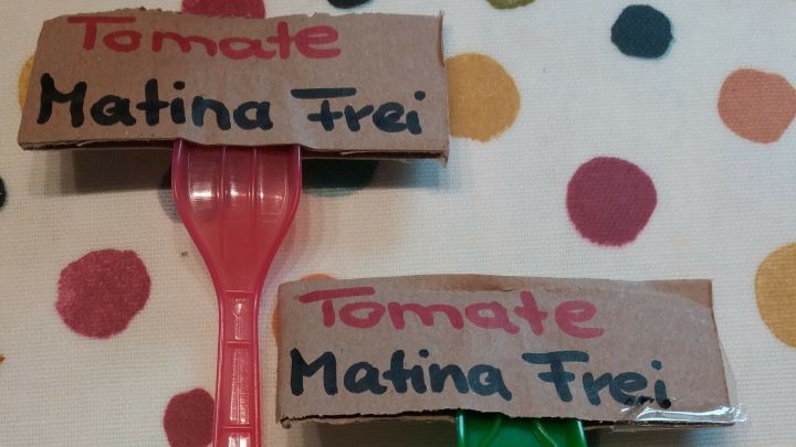 Zwei bunte, selbstgemachte Saatstecker stecken in einer Tischdecke mit bunten Punkten. Ein Stecker beschriftet "Tomate Matina frei".