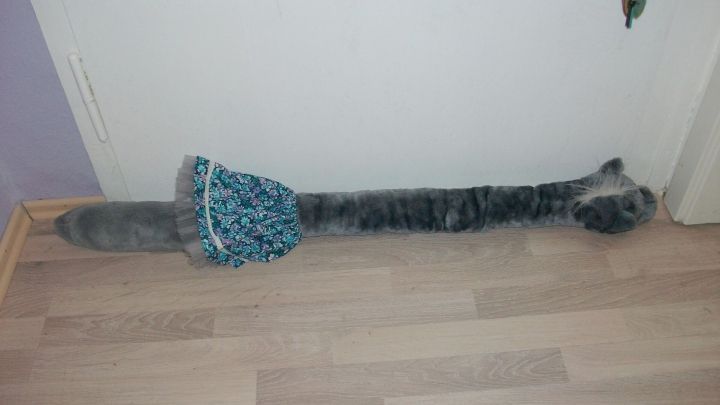 Ein langgestreckter Dackel mit einem blauen Kleidchen liegt an einer Wand in einem hellen Raum.