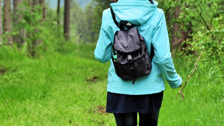 Eine Person mit einem Rucksack geht auf einem schmalen, grünen Pfad durch einen Wald, umgeben von hohen Bäumen.