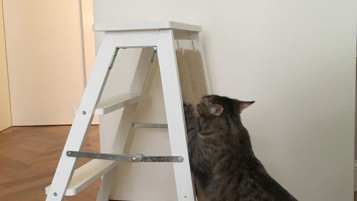 Eine Katze untersucht eine wei&szlig;e Kratz-Trittleiter in einem hellen Raum mit Holzfu&szlig;boden und geschlossenen T&uuml;ren.