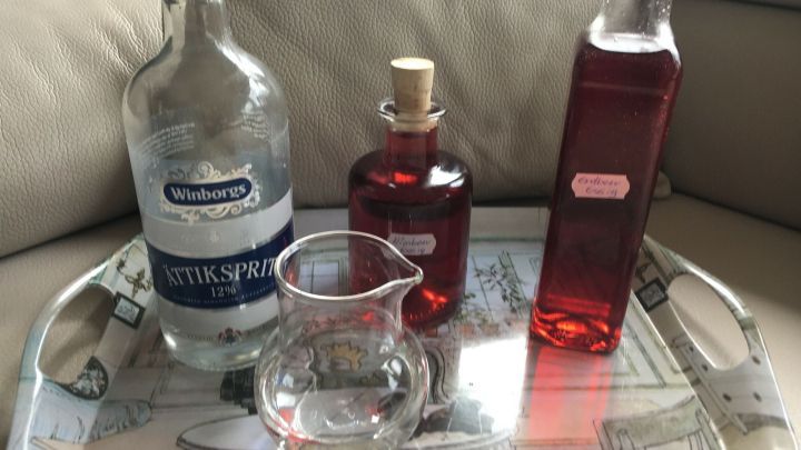 Zwei Flaschen Essig und ein Glas stehen auf einem Tablett, umgeben von einer gem&uuml;tlichen Wohnumgebung.