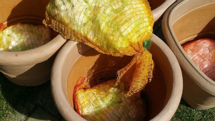 Gro&szlig;e Blumenk&uuml;bel stehen auf einem Rasen, w&auml;hrend spezielle Drainaget&uuml;cher in ihnen platziert werden, um Wasser abzuleiten.